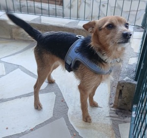 FB_IMG_1768319083644